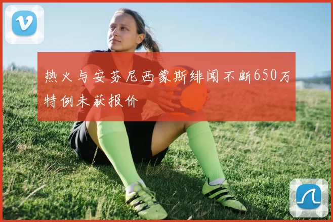 热火与安芬尼西蒙斯绯闻不断650万特例未获报价
