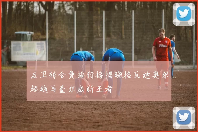 后卫转会费排行榜揭晓格瓦迪奥尔超越马奎尔成新王者